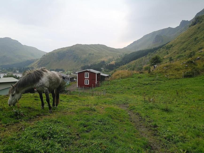 ホテルGlamping Lofoten Kongsjorda エクステリア 写真