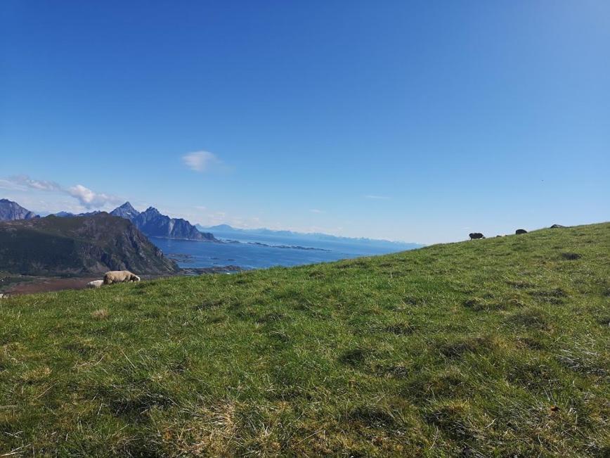 ホテルGlamping Lofoten Kongsjorda エクステリア 写真
