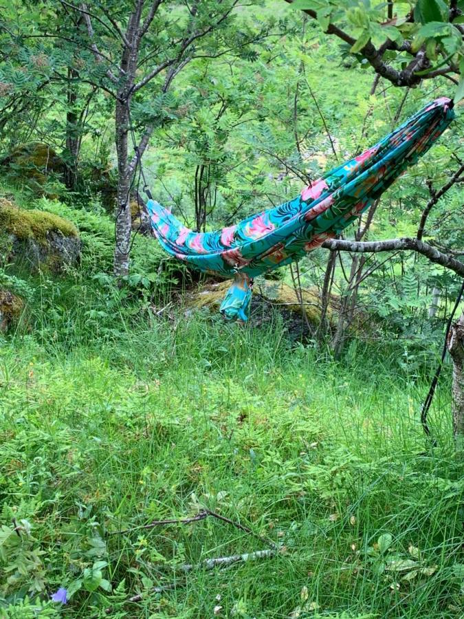 ホテルGlamping Lofoten Kongsjorda エクステリア 写真